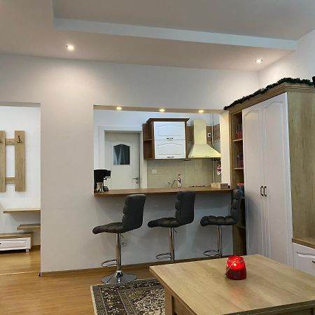 Tampa Hill Residence Brasov Bagian luar foto