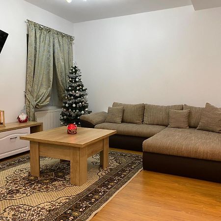 Tampa Hill Residence Brasov Bagian luar foto