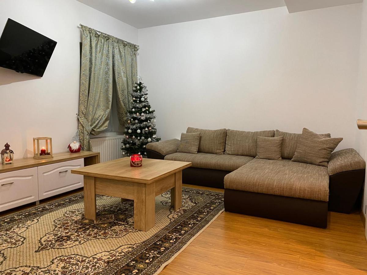 Tampa Hill Residence Brasov Bagian luar foto