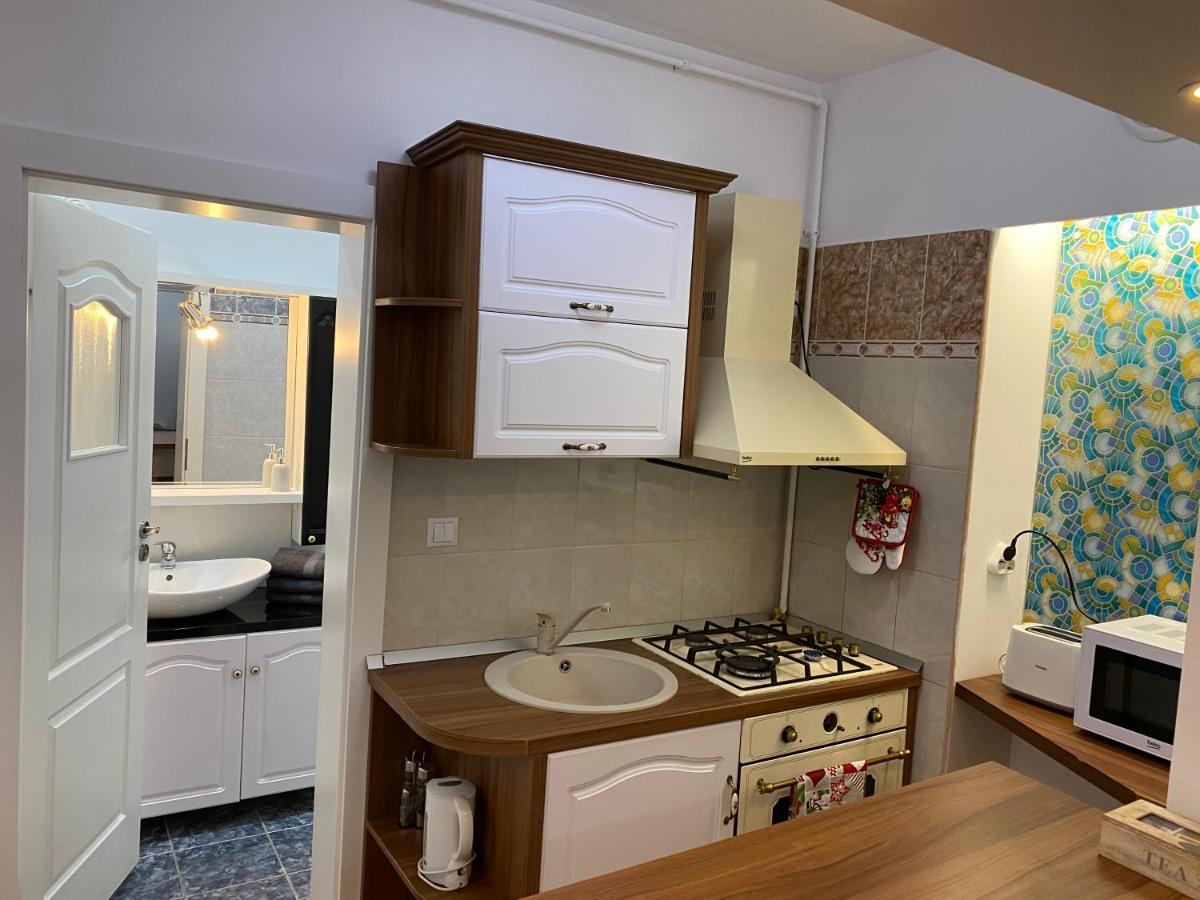 Tampa Hill Residence Brasov Bagian luar foto