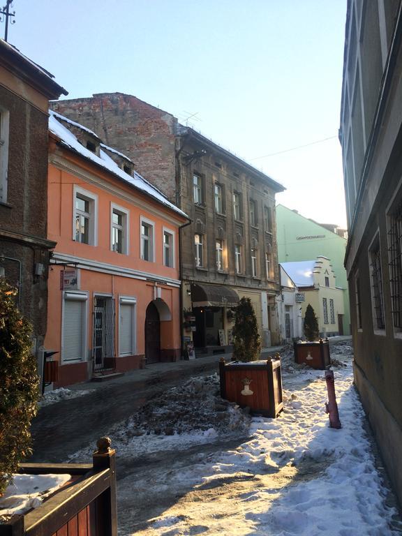 Tampa Hill Residence Brasov Bagian luar foto